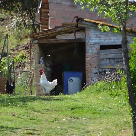 La Fornace Farm stay *