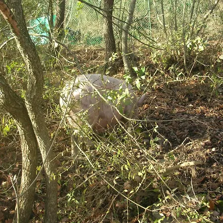 La Fornace Rigomagno