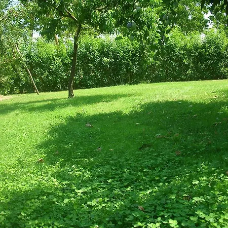 Farm stay La Fornace *