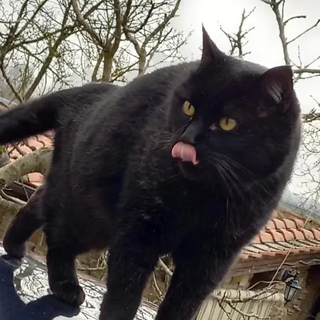 La Fornace * Rigomagno