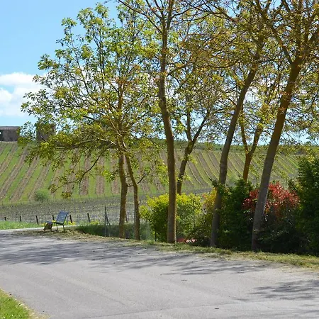 Farm stay La Fornace Rigomagno